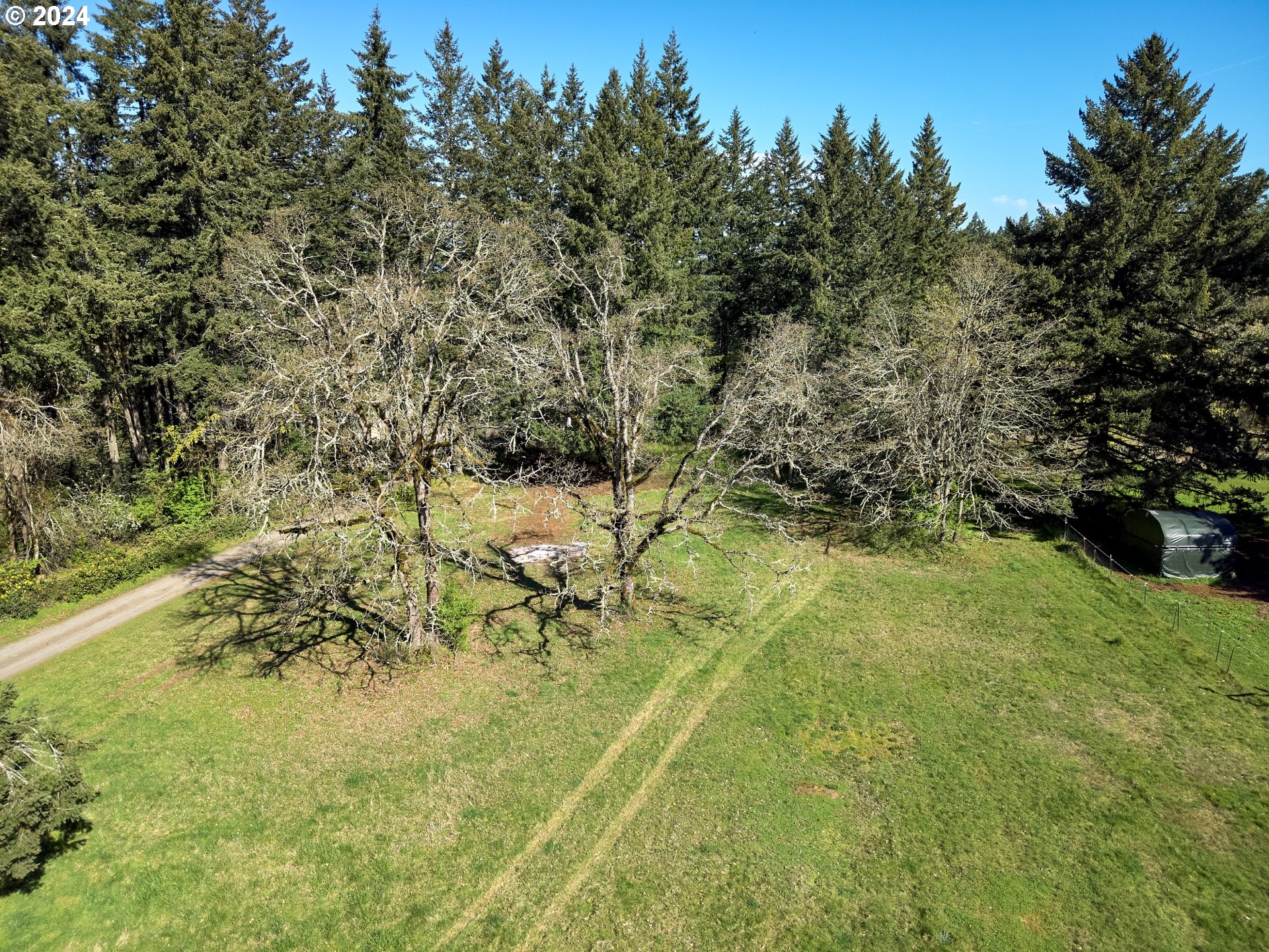 15540 Quall Road Northeast Silverton, OR 97381 - Photo 6 of 20