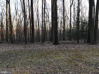 32 Blakely Road Downingtown, PA 19335 - Photo 10 of 10 Gallery Image 10