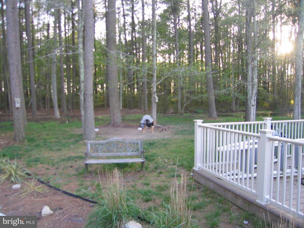 8200 Clinton Bozman Road Westover, MD 21871 - Photo 20 of 22 Gallery Image 20