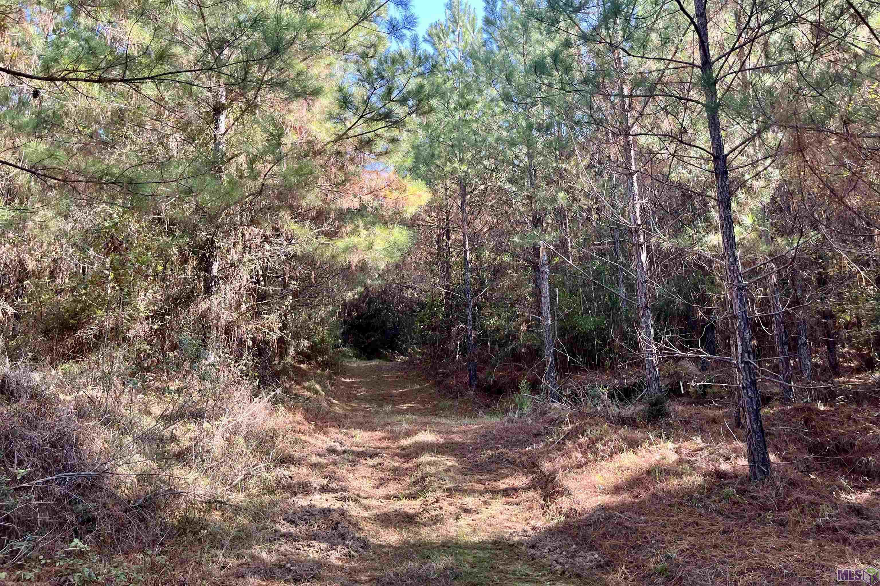 5 Stampley Road Roxie, MS 39661 - Photo 34 of 36