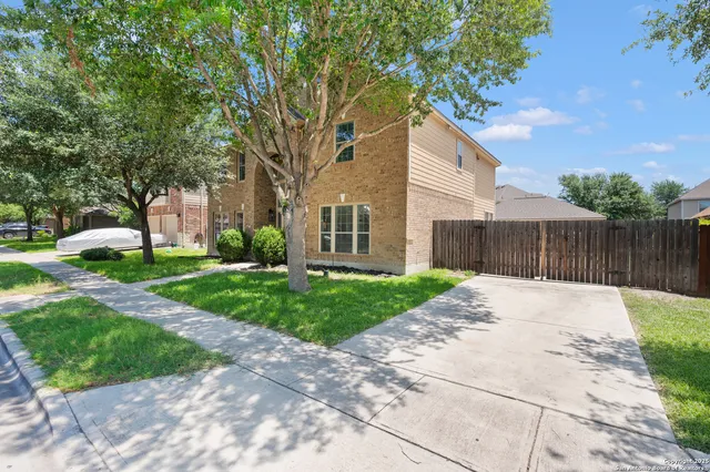 a backyard of a house with plants and large tree