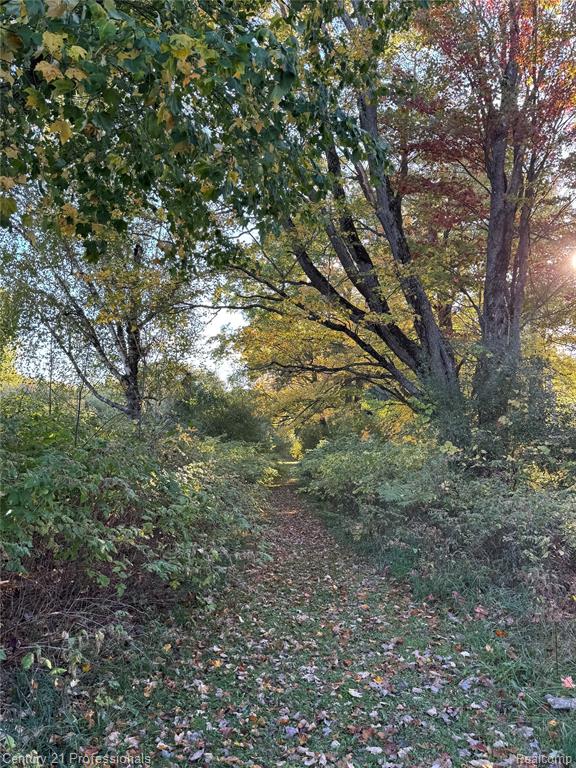 3608 South State Road Glennie, MI 48737 - Photo 17 of 42