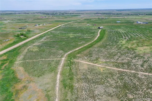 a view of a field with an ocean