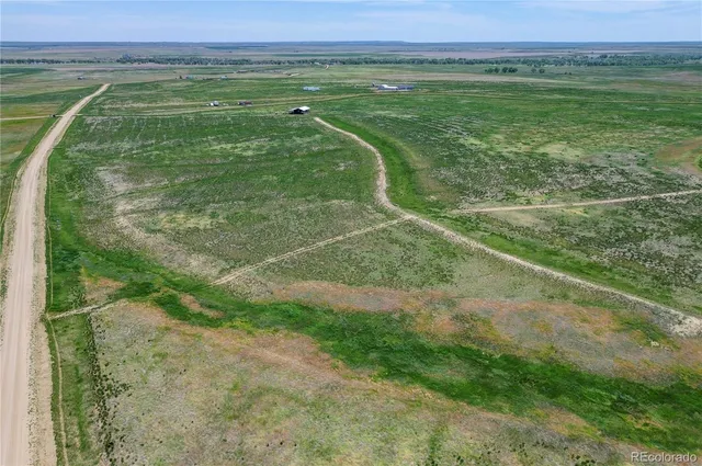 a view of a field with an ocean