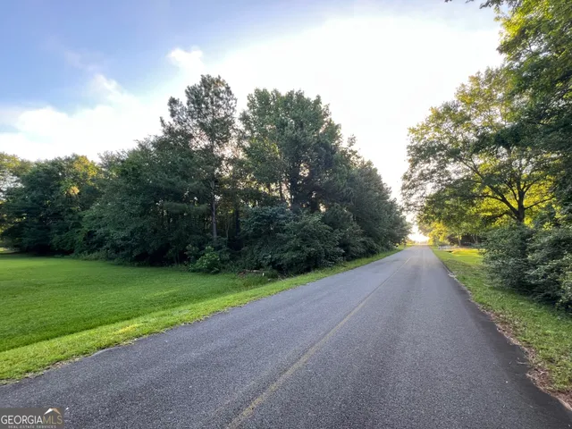a view of a road with a yard and a large tree