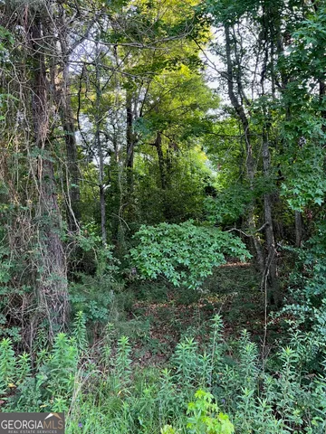 a view of a lush green forest