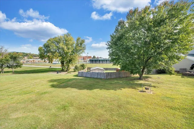 a view of a big yard with a large trees