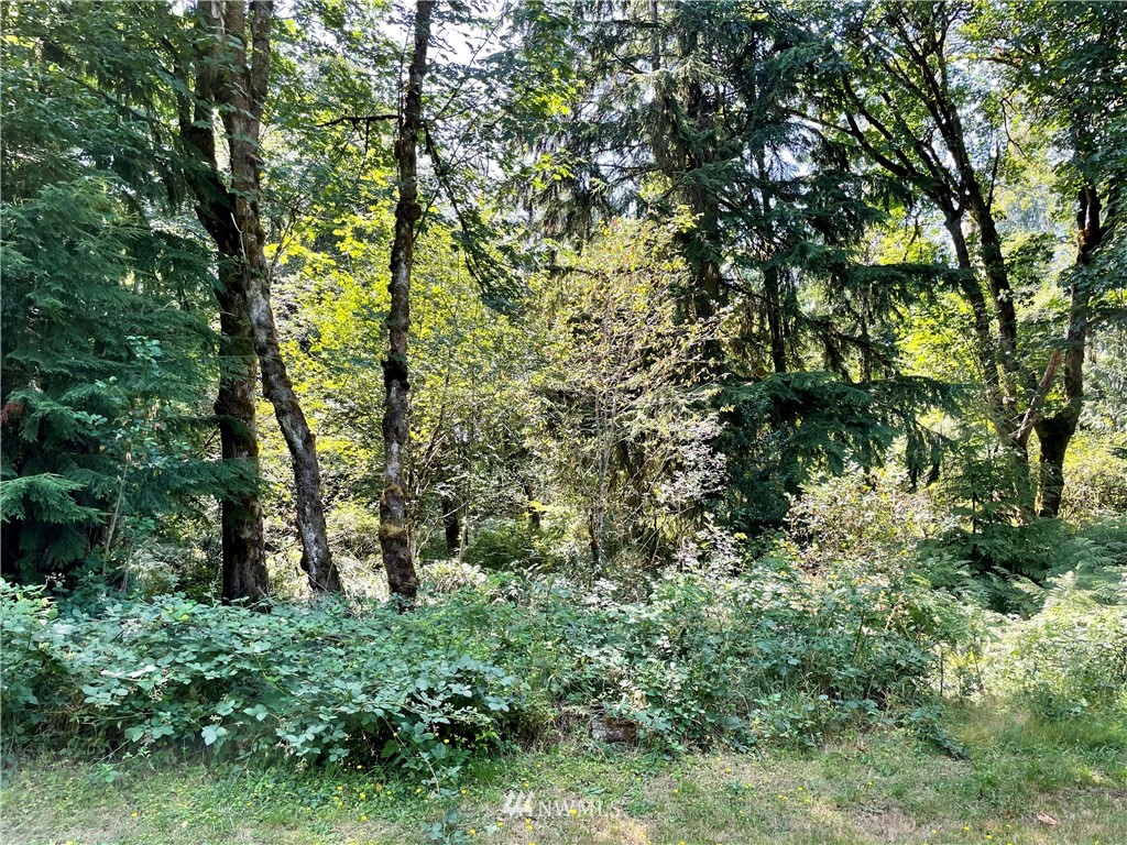 2934 Cooper Point Road Northwest Olympia, WA 98502 - Photo 6 of 8 Gallery Image 6