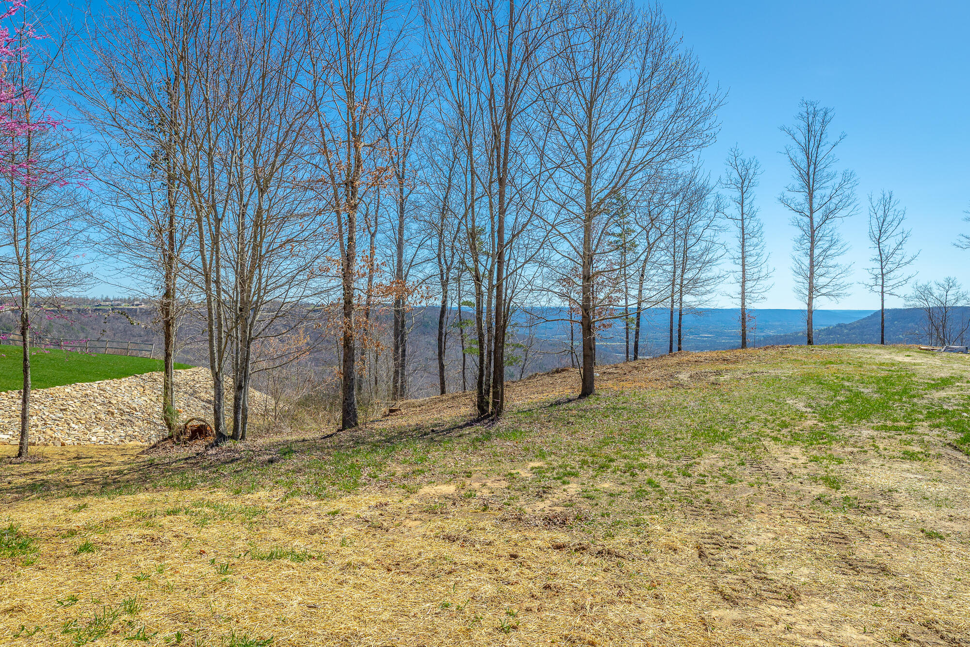 0 Sunset Circle, Unit 74 Jasper, TN 37347 - Photo 18 of 84 0 Sunset Circle - SV74 HD-13