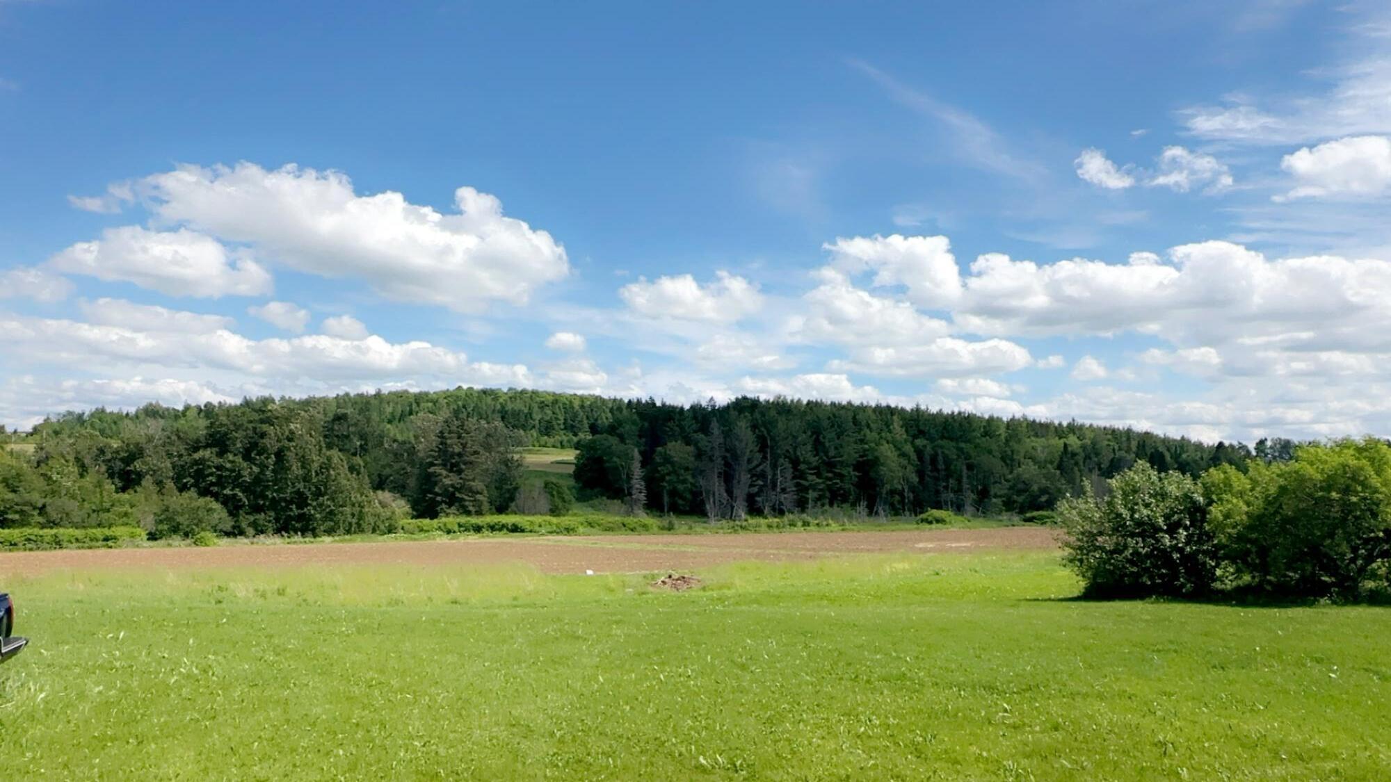 277 Conant Road Fort Fairfield, ME 04742 - Photo 77 of 80 IMG_4680