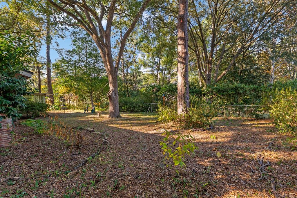 3018 Northwest 2nd Avenue Gainesville, FL 32607 - Photo 19 of 21 a view of a tree in the middle of a yard