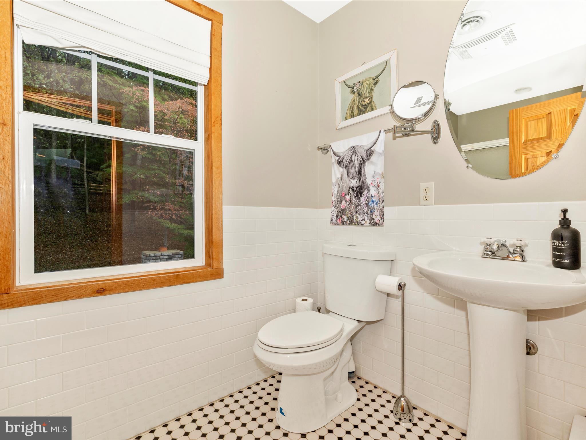 8935 Hawbottom Road Middletown, MD 21769 - Photo 35 of 84 a bathroom with a toilet a sink and a mirror