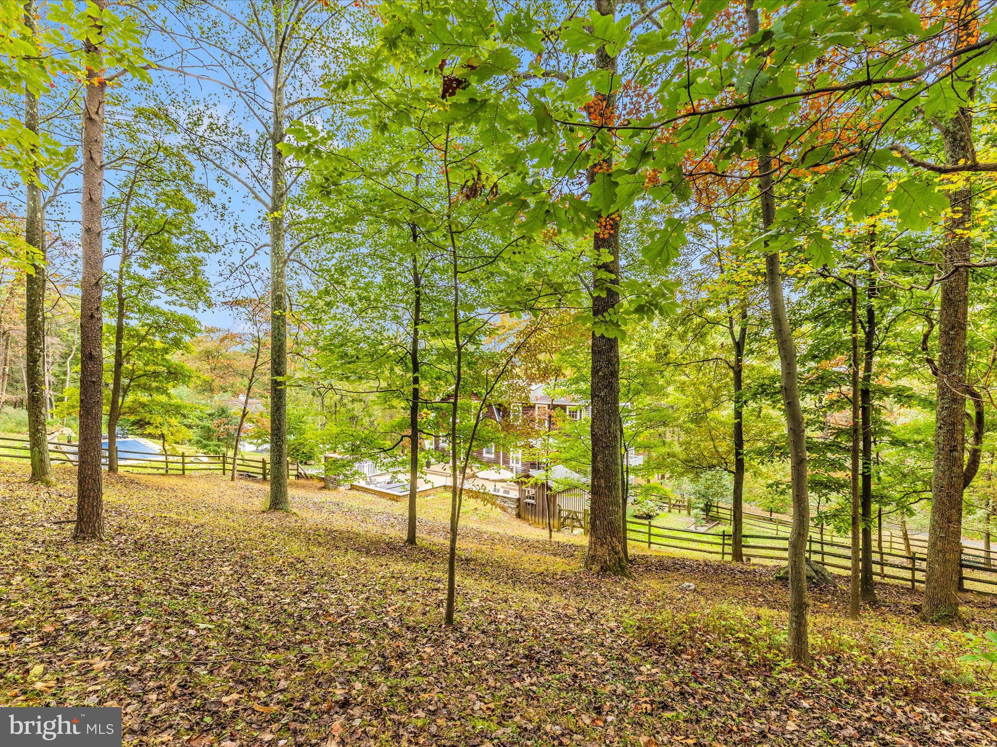8935 Hawbottom Road Middletown, MD 21769 - Photo 74 of 84 a view of a yard with plants and tree