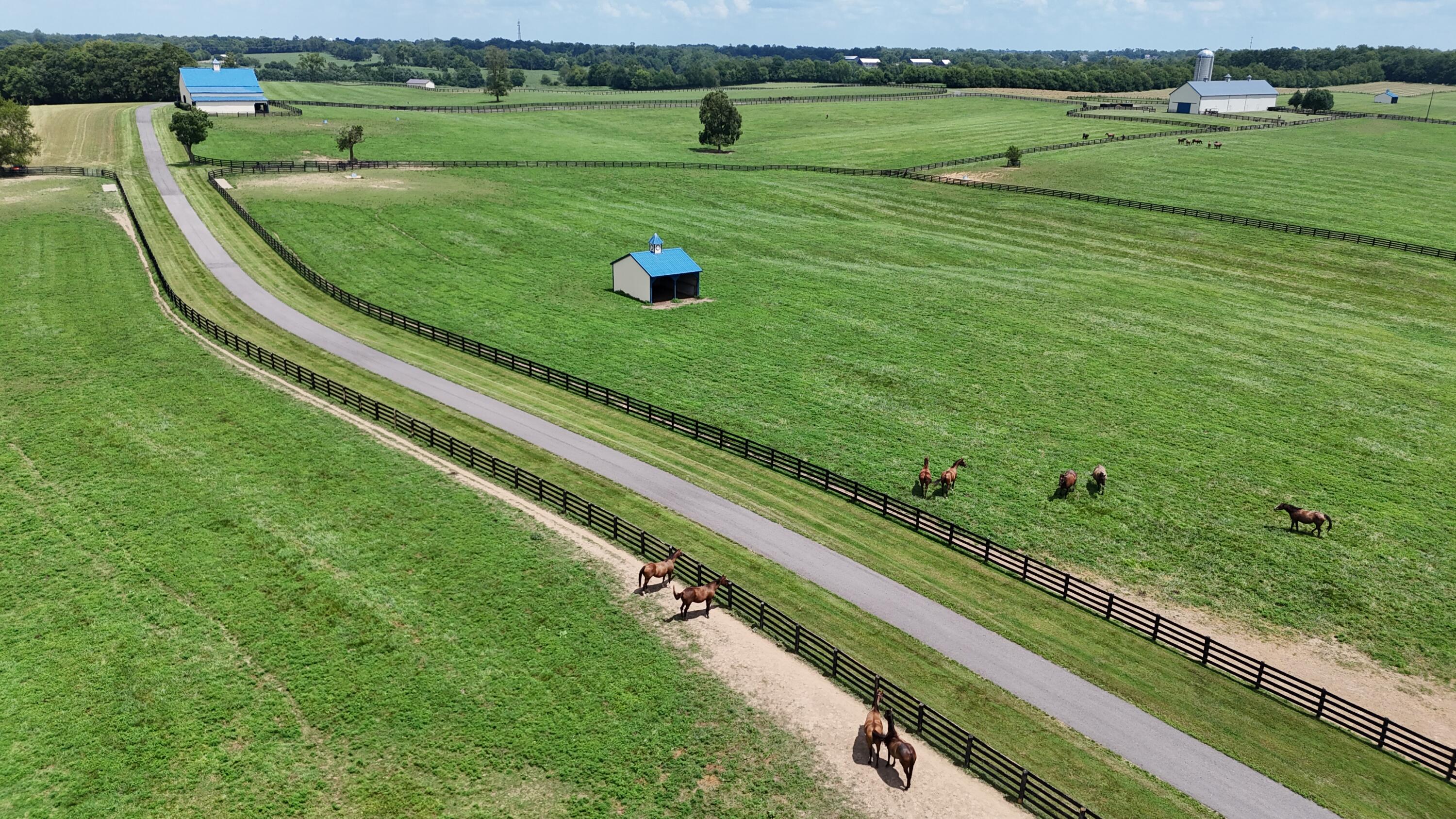 3469 Winchester Road Lexington, KY 40509 - Photo 38 of 86 DJI_20250725141003_0221_D