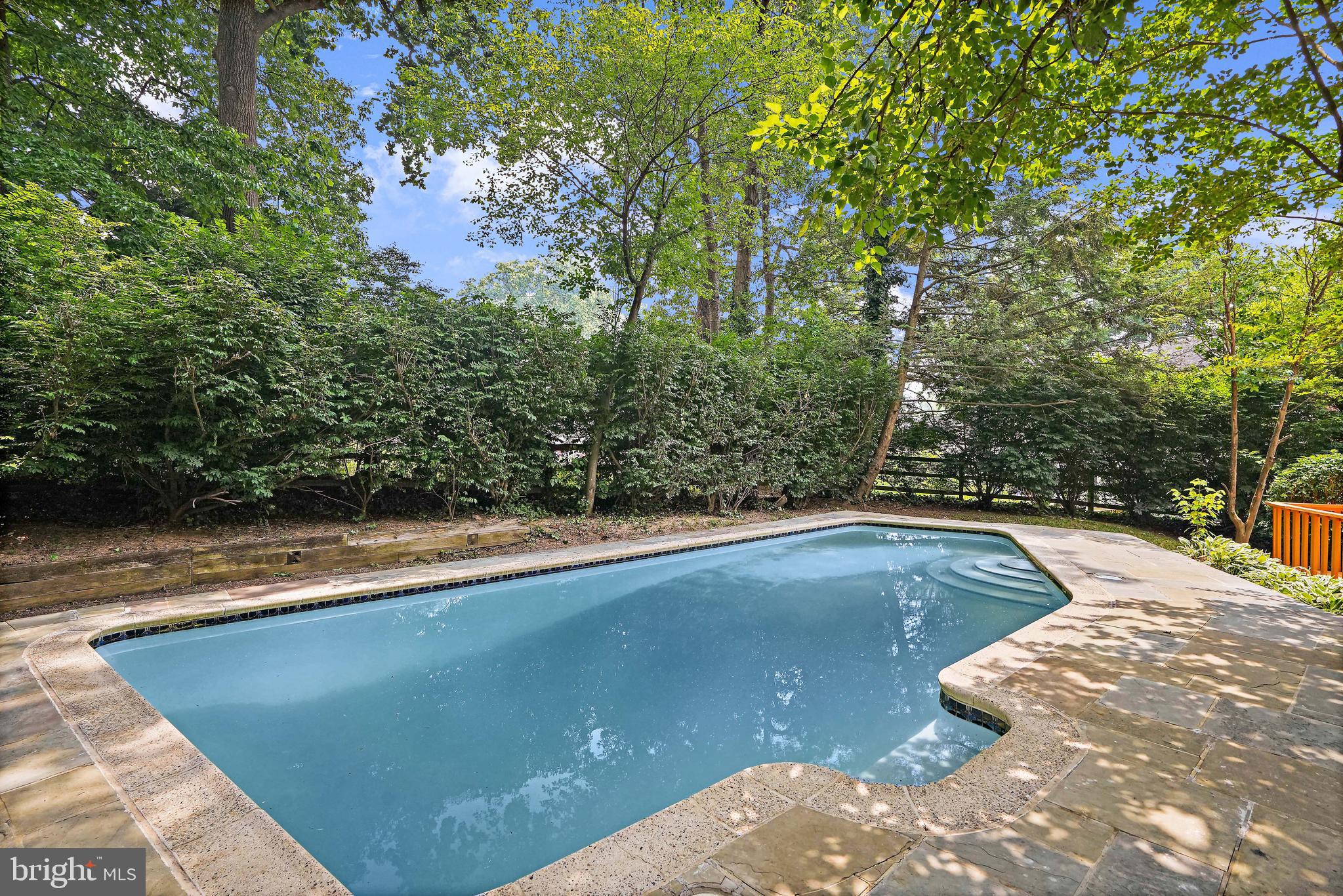 15515 Langside Street Silver Spring, MD 20905 - Photo 4 of 38 Lots of Privacy