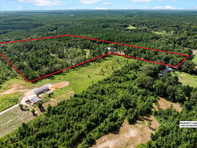 a view of a flower in a garden