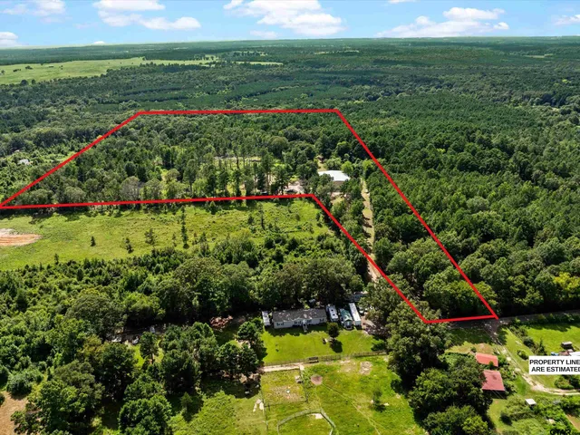 a view of a garden with a flower garden