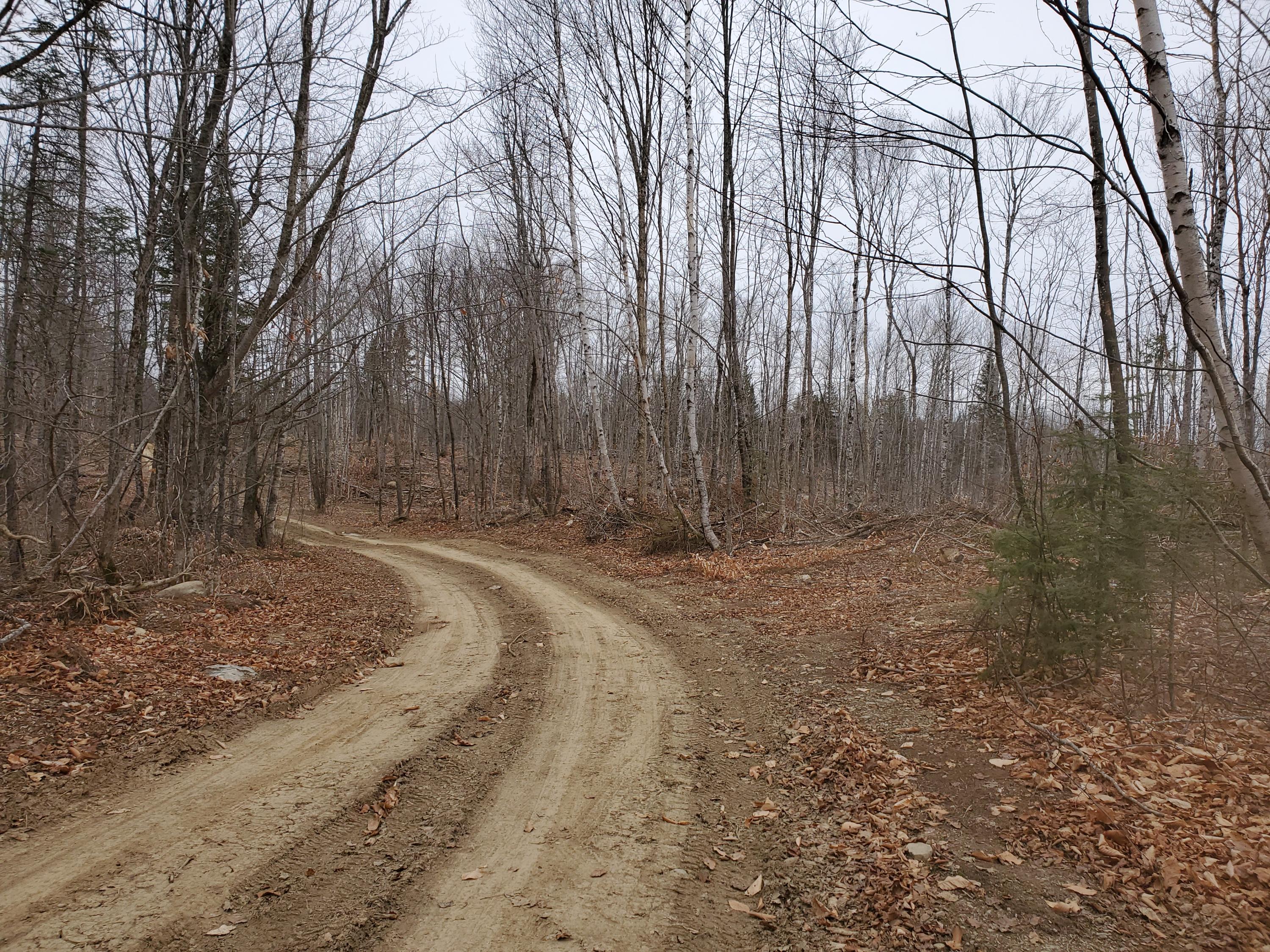 1338 White Settlement Road Houlton, ME 04730 - Photo 4 of 5 20201119_123402