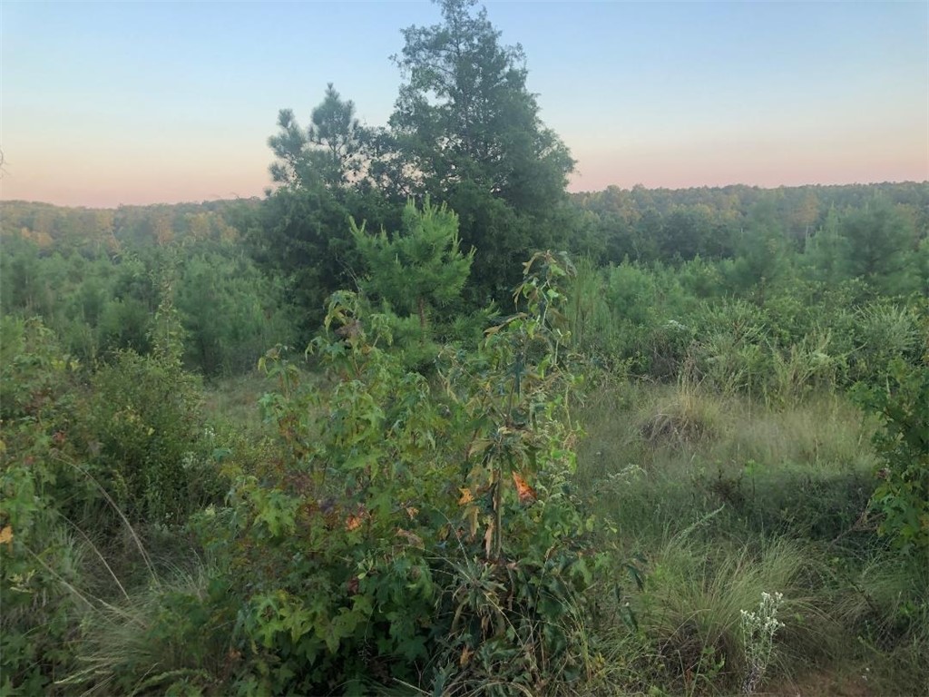 56.57-acres Lake Secession Road Abbeville, SC 29620 - Photo 2 of 11