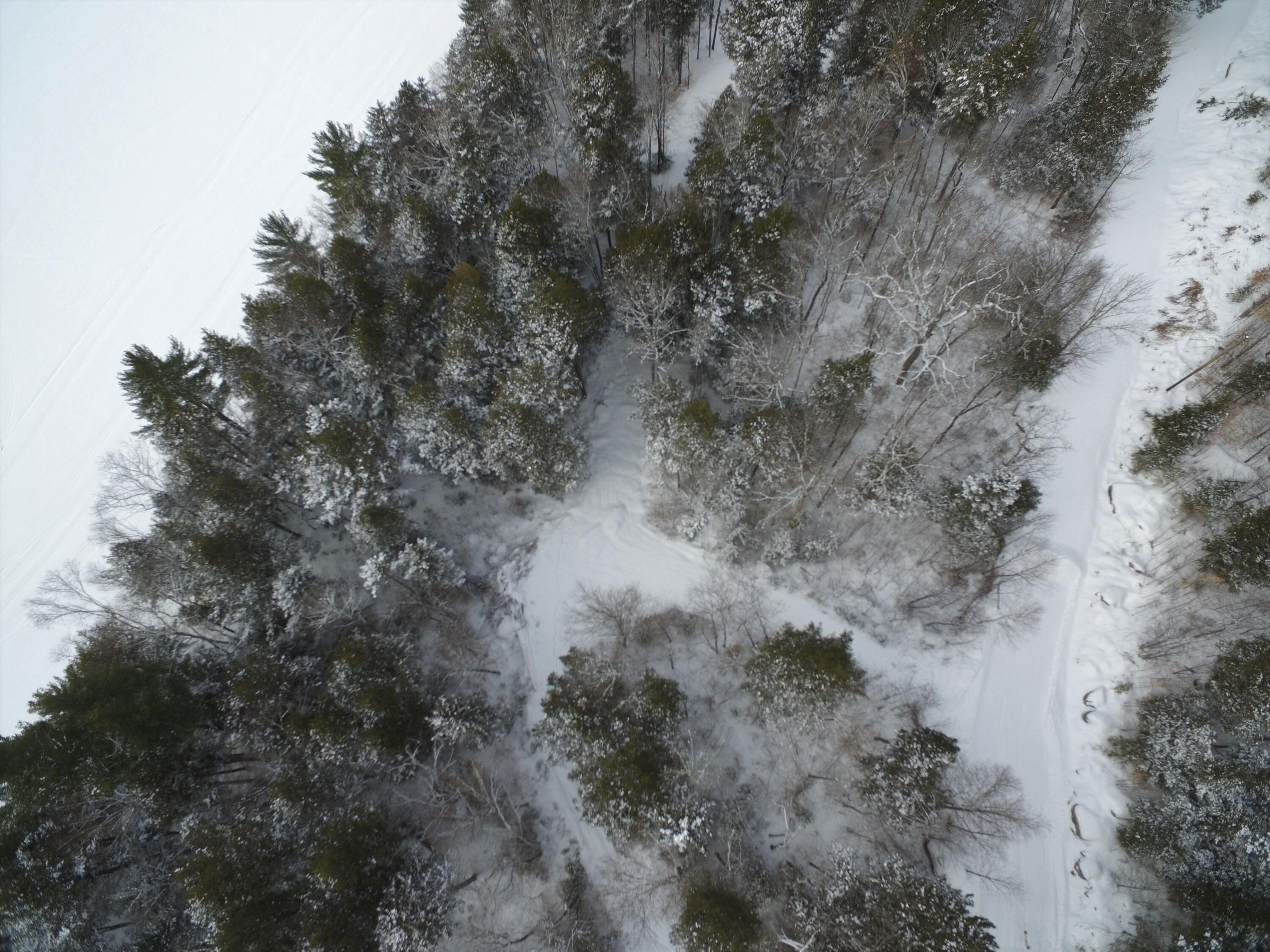 37.41 Acres Houston Road Lincoln, ME 04457 - Photo 21 of 29 DJI_0132
