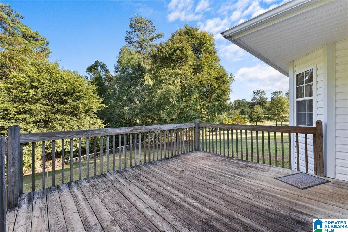 3641 Mt Olive Road Mount Olive, AL 35117 - Photo 26 of 35