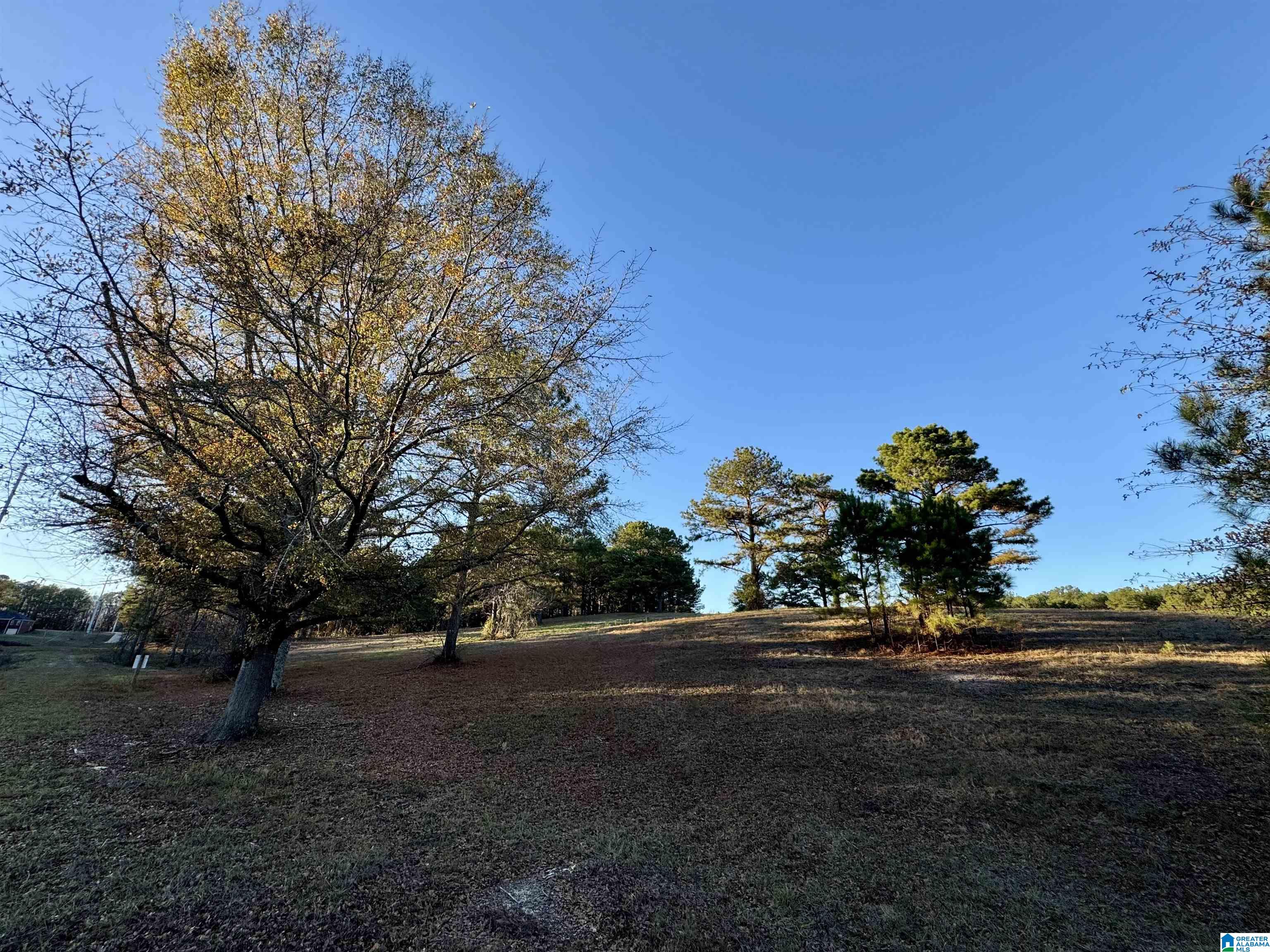 10000 Eastern Valley Road, Unit 10000 West Blocton, AL 35184 - Photo 19 of 21