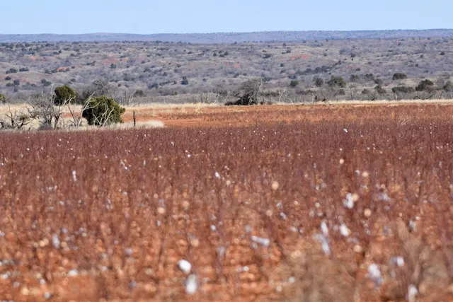 $353,100 | 656 Farm To Market Road, Turkey, TX 79261