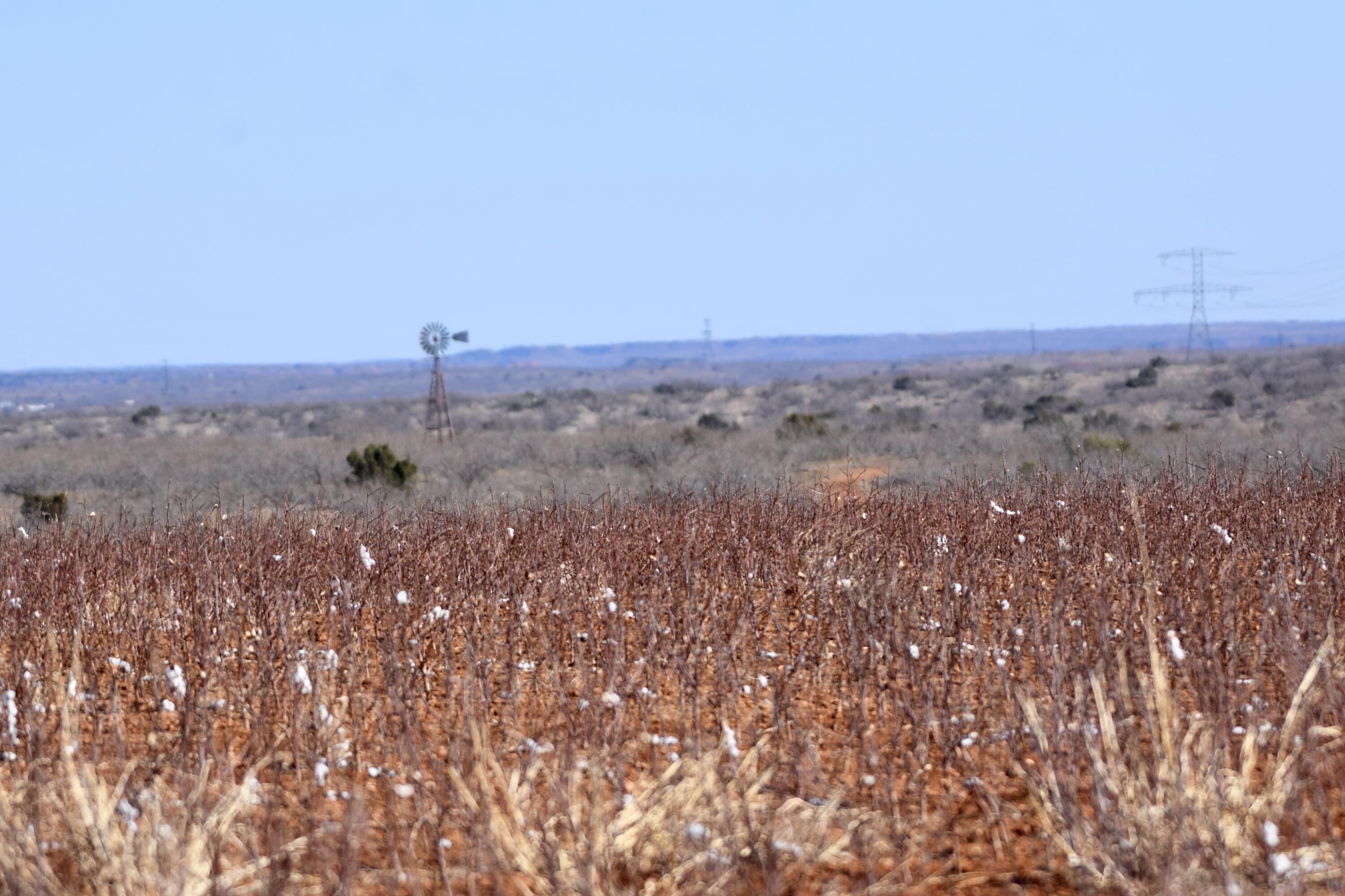 656 Farm To Market Road Turkey, TX 79261 - Photo 14 of 21 a view of a field