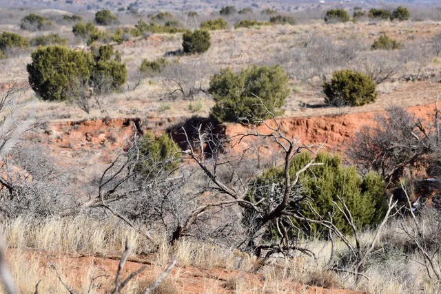 $353,100 | 656 Farm To Market Road, Turkey, TX 79261