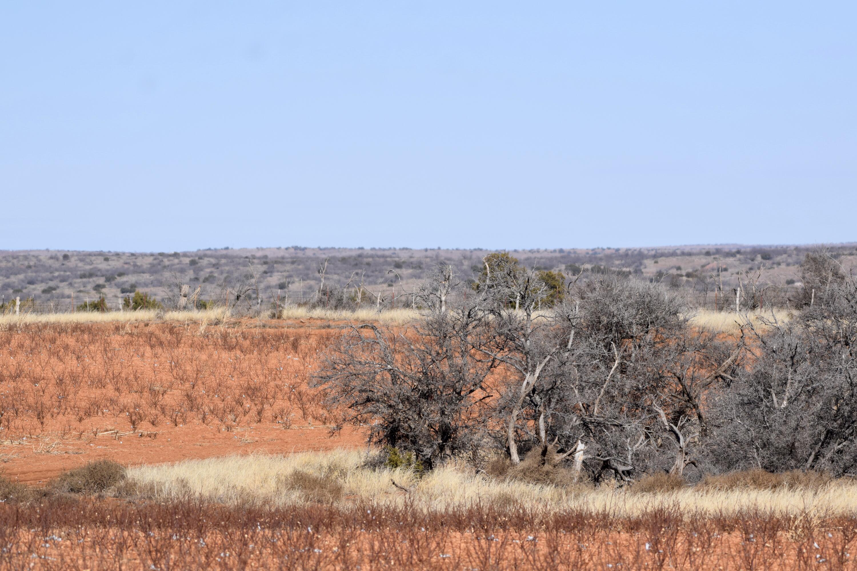 656 Farm To Market Road Turkey, TX 79261 - Photo 19 of 21 a view of lake