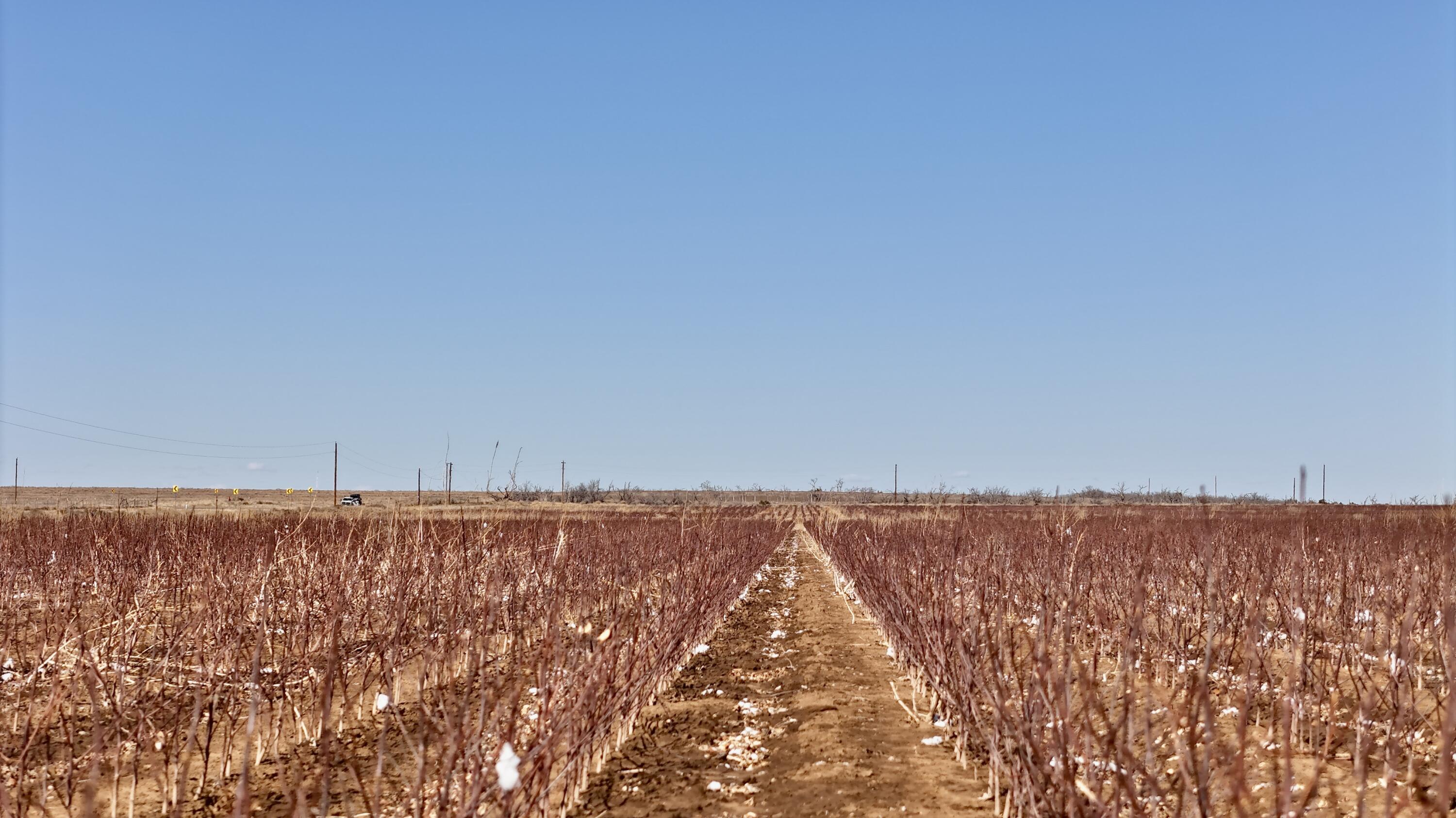 656 Farm To Market Road Turkey, TX 79261 - Photo 6 of 21 a view of an ocean