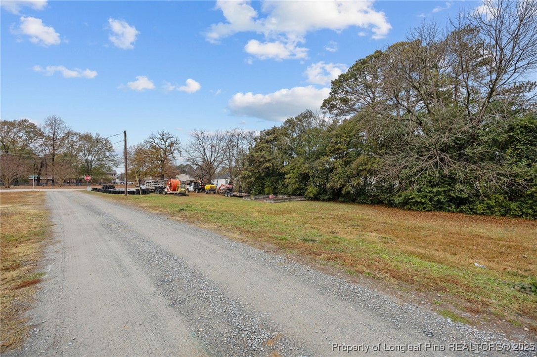 123-125 Spring Branch Road Dunn, NC 28334 - Photo 3 of 16 a view of road and houses