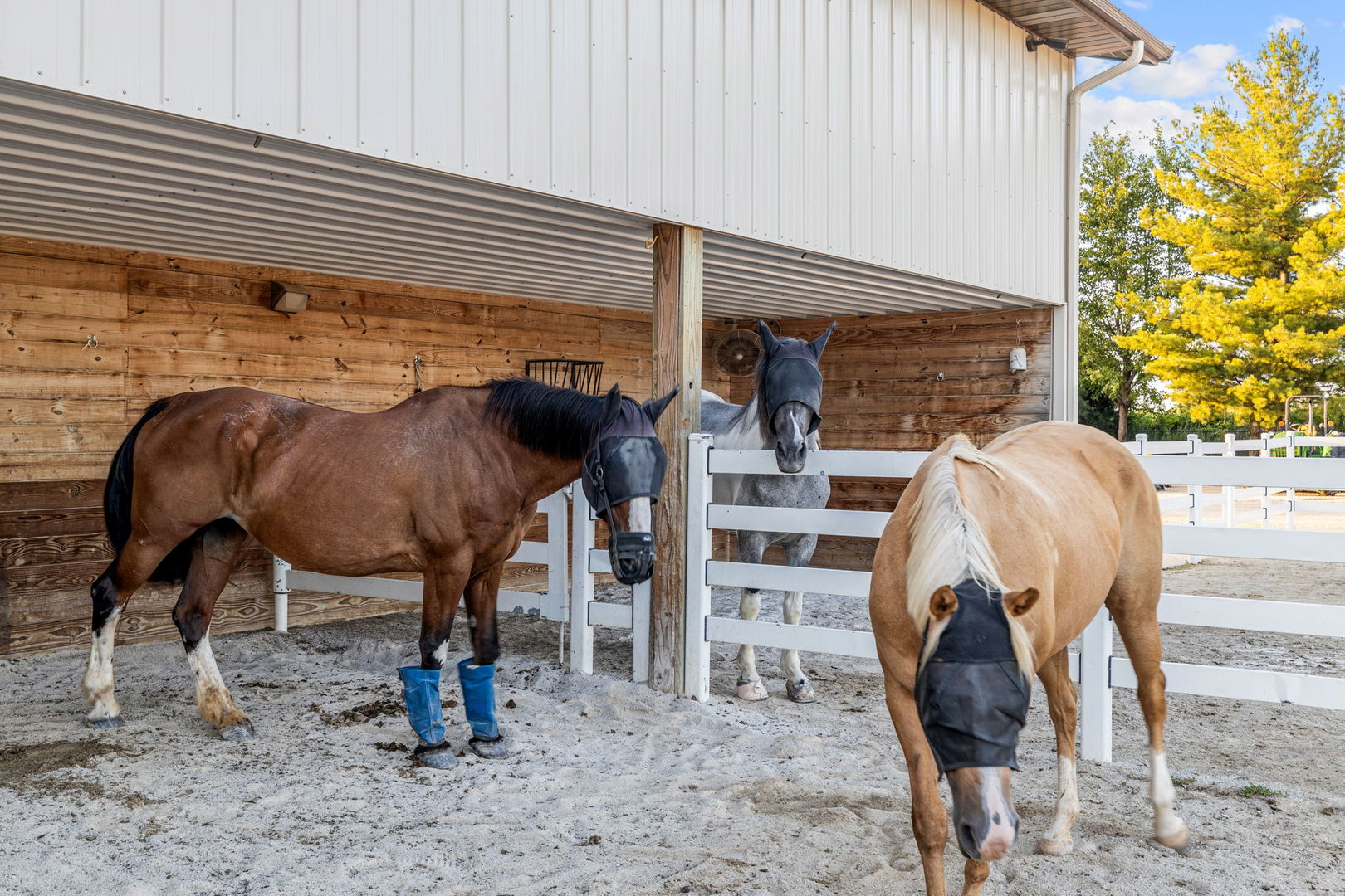 5021 Minkler Road Yorkville, IL 60560 - Photo 83 of 92 a view of two chairs and table in the patio