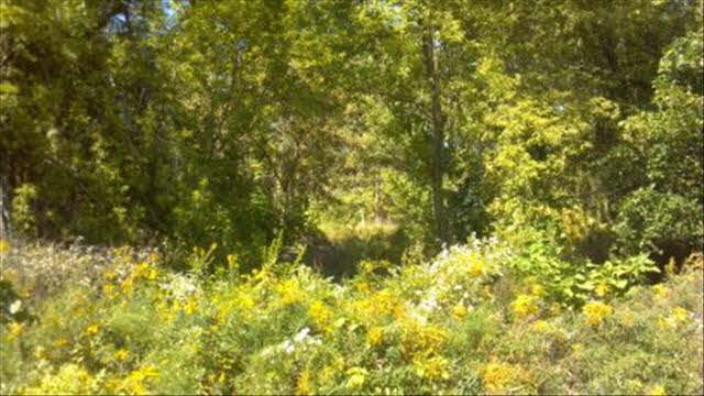 457 West Dean Road Temperance, MI 48182 - Photo 13 of 20 20390006-12.JPG