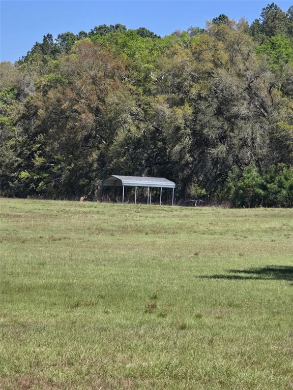 1 55th Place Wellborn, FL 32094 - Photo 4 of 20 a view of a green field with a tree