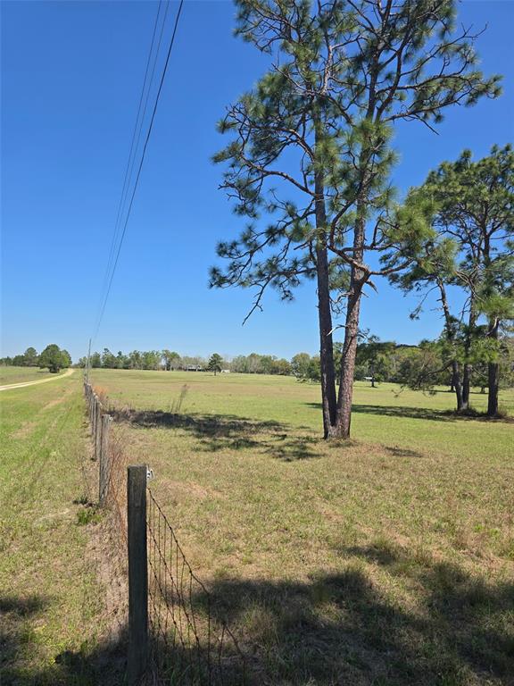 1 55th Place Wellborn, FL 32094 - Photo 5 of 20 a view of an ocean with a mountain