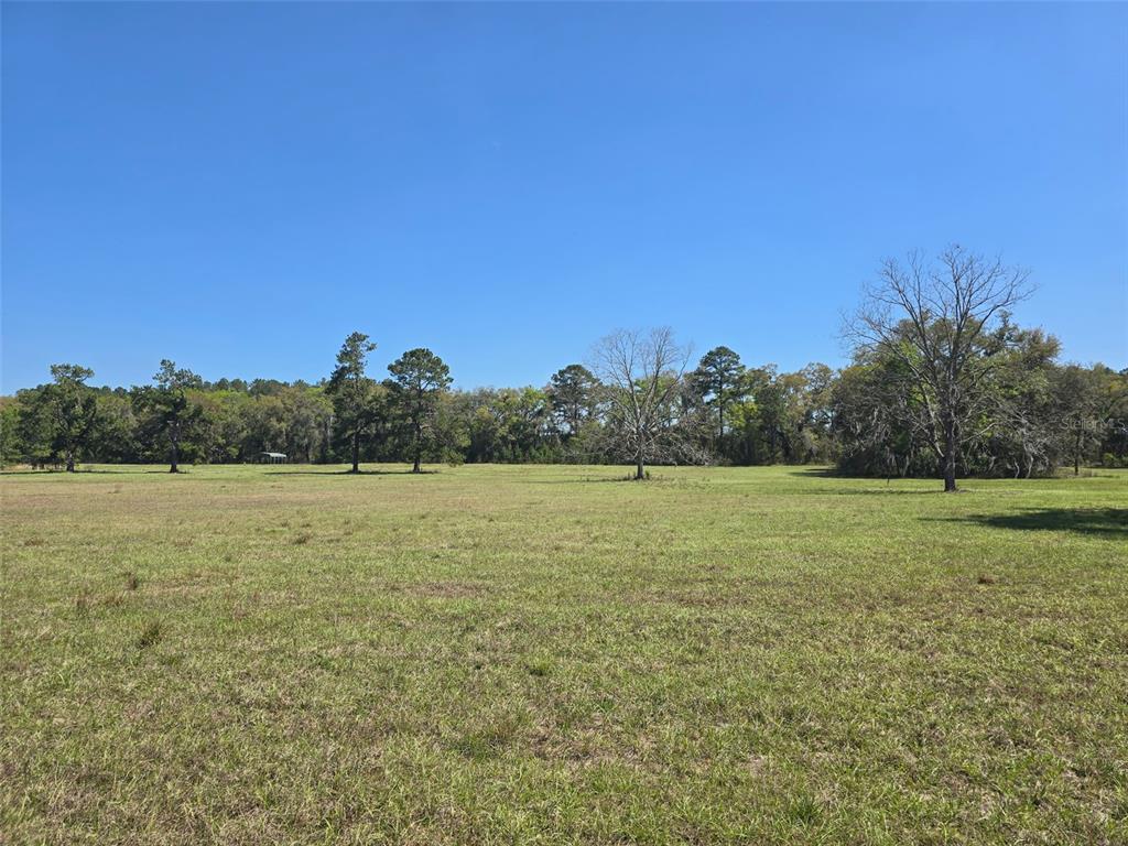 1 55th Place Wellborn, FL 32094 - Photo 6 of 20 a view of lake and mountain view