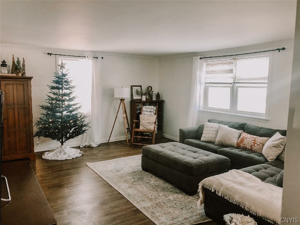 133 Spring Street Mexico, NY 13114 - Photo 10 of 20 Living Room