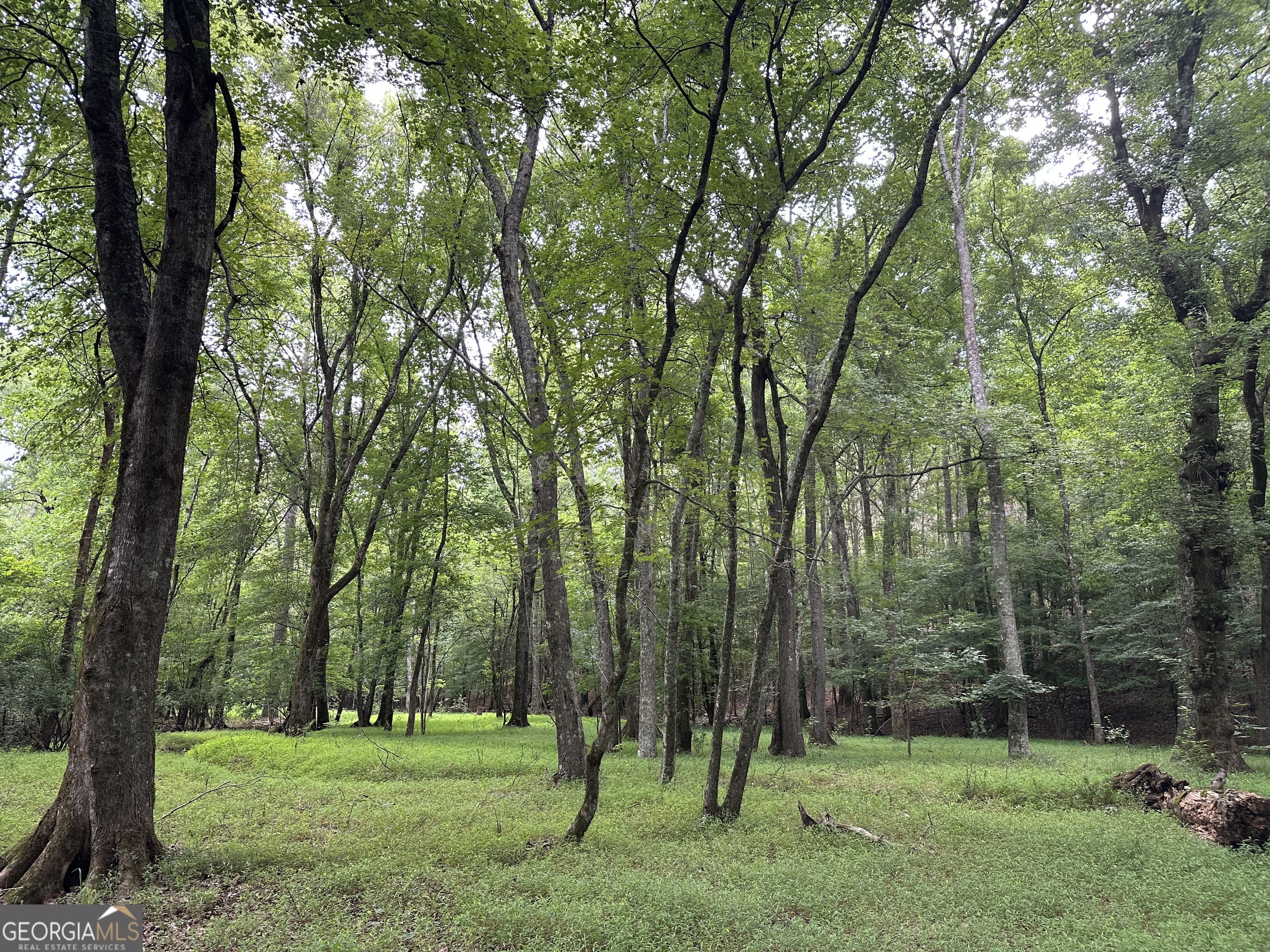 3330 Callaway Road Greensboro, GA 30642 - Photo 65 of 83