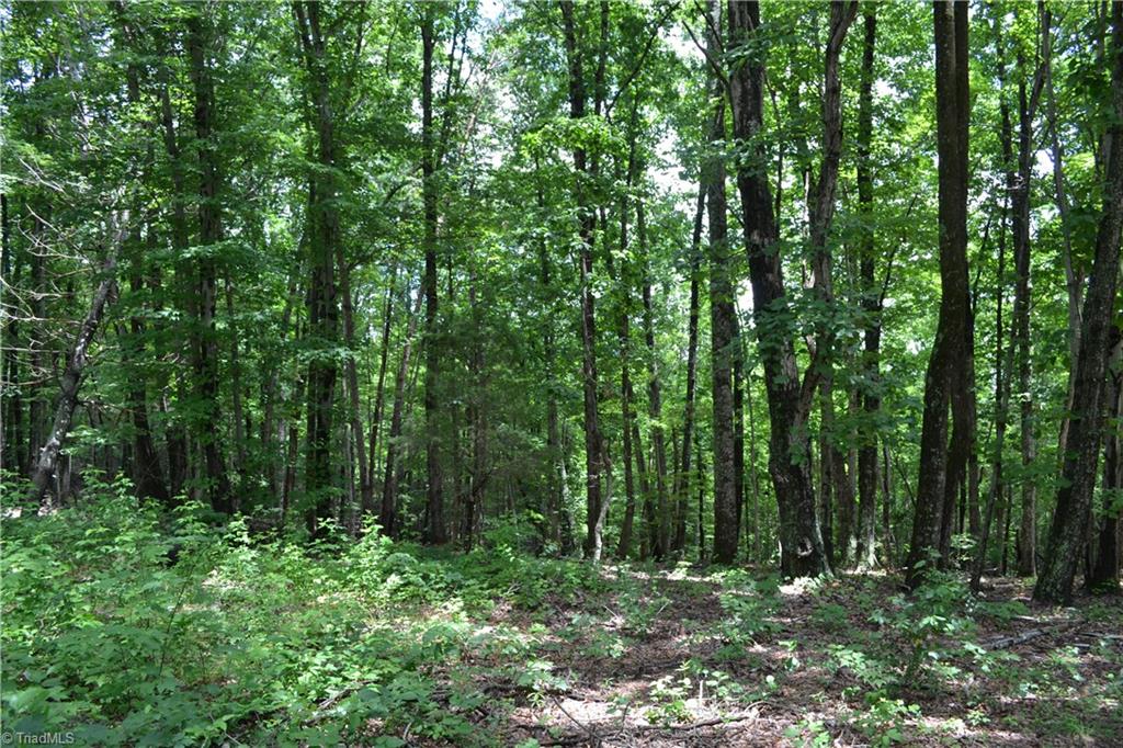 2250 K-Fork Road Madison, NC 27025 - Photo 2 of 5