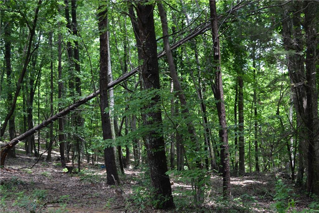 2250 K-Fork Road Madison, NC 27025 - Photo 3 of 5