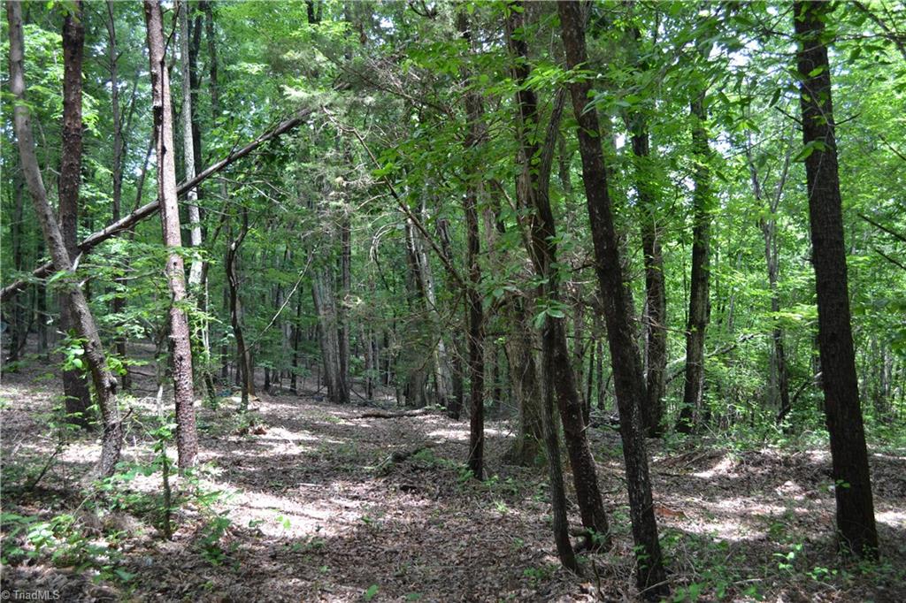 2250 K-Fork Road Madison, NC 27025 - Photo 4 of 5