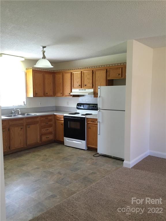 2296 Beth Haven Church Road, Unit 2296 Denver, NC 28037 - Photo 5 of 13 a kitchen with stainless steel appliances granite countertop a stove a sink dishwasher a refrigerator and a stove with wooden floor