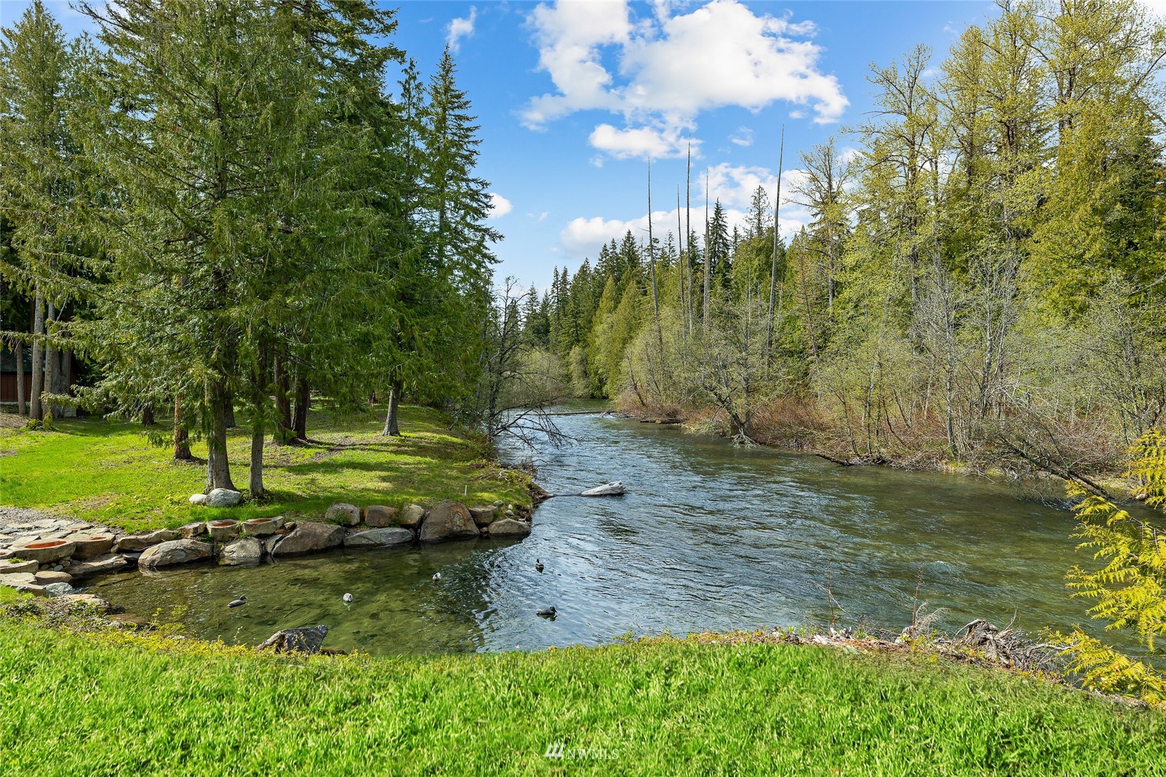 691 Kachess River Road Easton, WA 98925 - Photo 11 of 40 a view of a yard with large trees