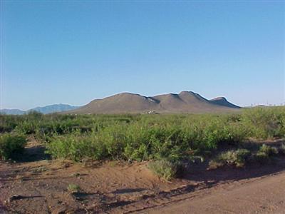 0 West Fawn Ranch Road Pearce, AZ 85625 - Photo 3 of 7