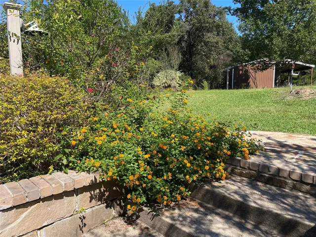 a view of backyard with white house