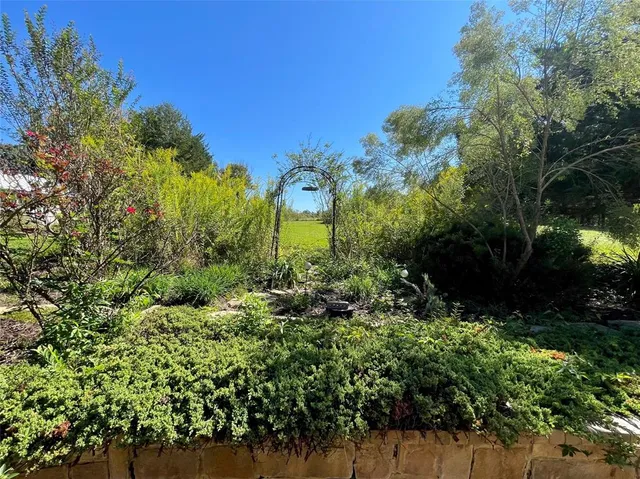 a view of a garden with large trees