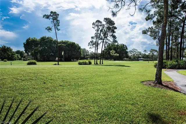 a view of a park with large trees