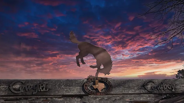 a view of a tree in a yard