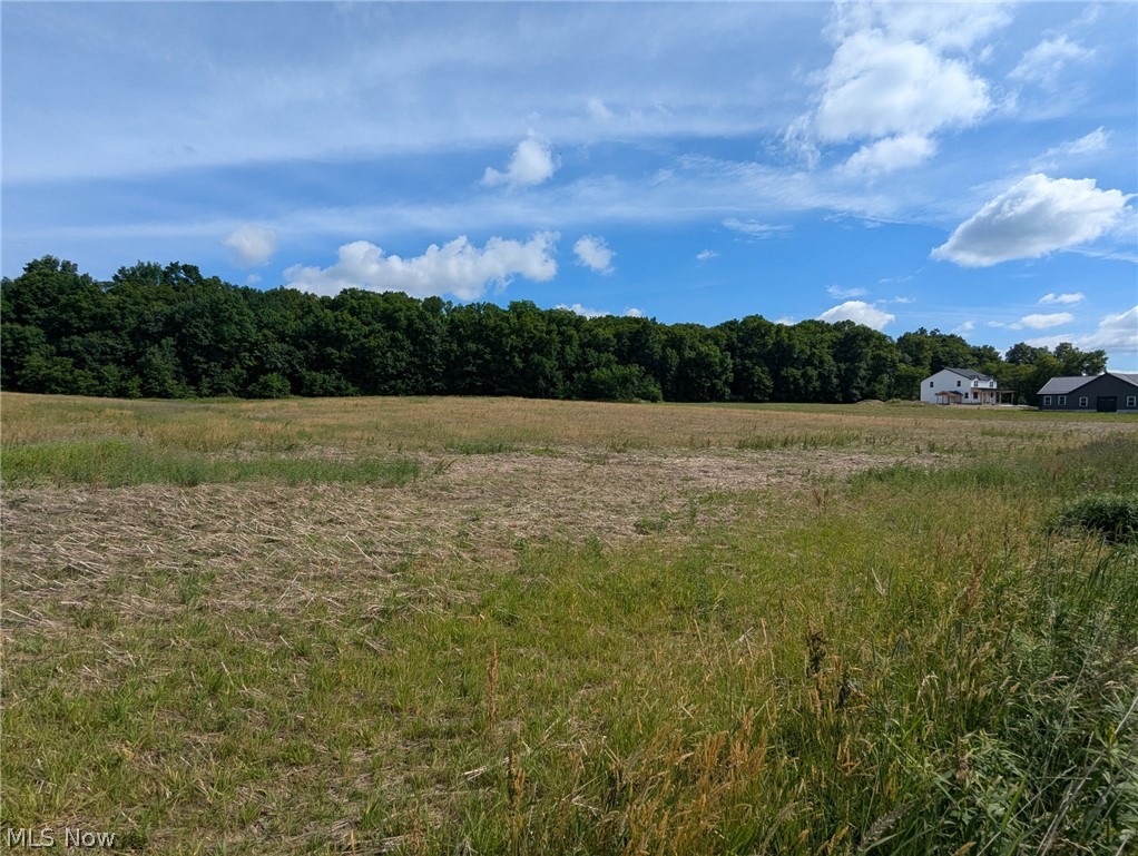 Center Road Garrettsville, OH 44231 - Photo 9 of 10